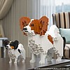 Papillon - Jekca (Dog Lego) Group